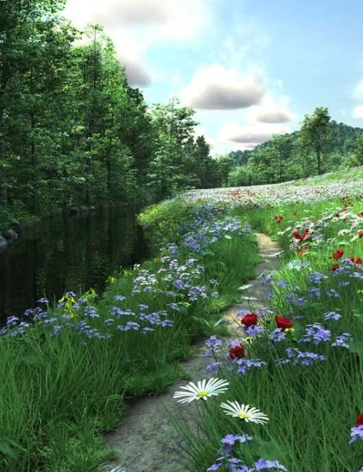 Peisaj natural luminos, cu potecă liniștită și atmosferă calmă